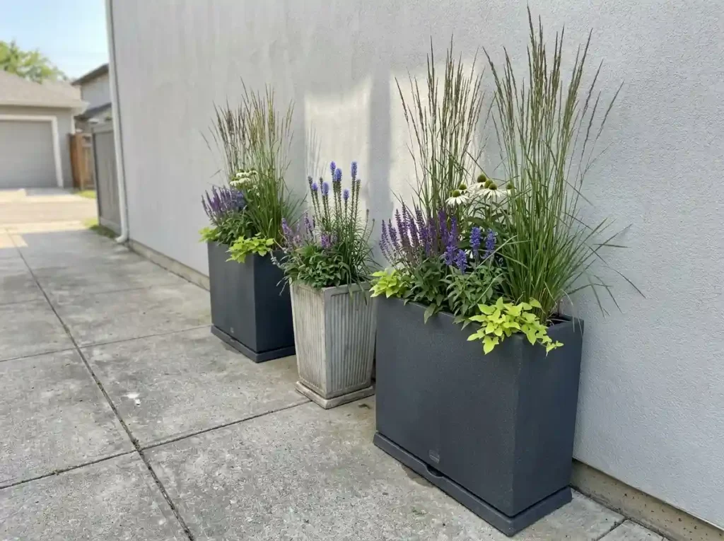 Use Tall Pots Along a Fence or Wall